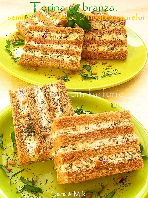 Terina cu branza, seminte de dovleac si floarea soarelui 0