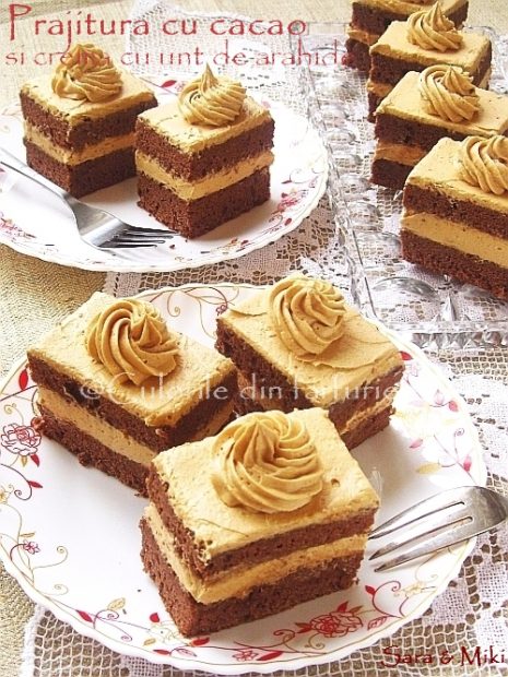 Prajitura-cu-cacao-si-crema-de-unt-de-arahide-01