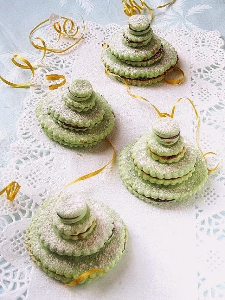 Braduti-de-Craciun-00