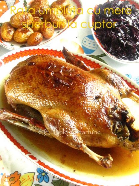 Rata-umpluta-cu-mere-si-ierburi-la-cuptor-2