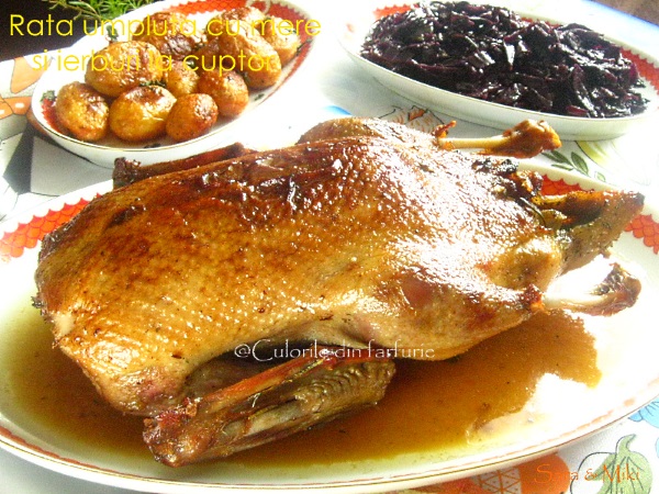 Rata-umpluta-cu-mere-si-ierburi-la-cuptor-3-1