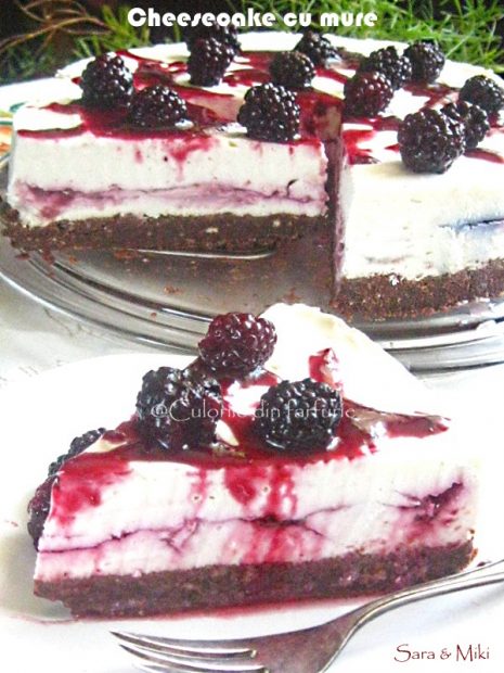 Cheesecake-cu-mure-2