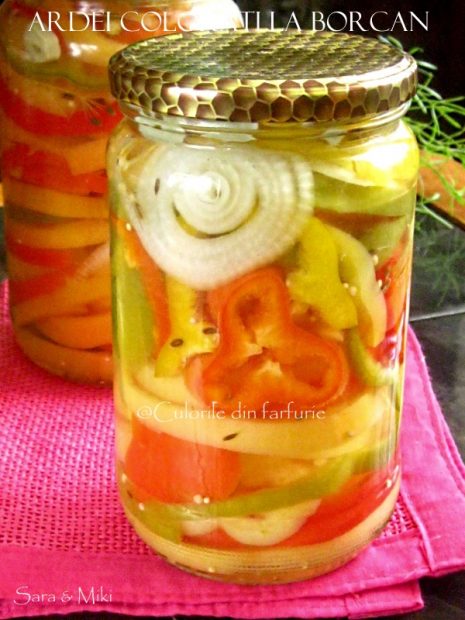 Ardei-colorati-la-borcan-2