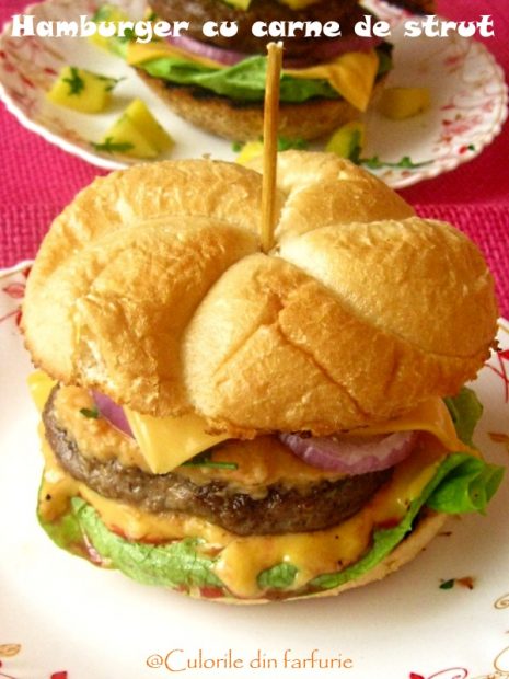 hamburger-cu-carne-de-strut-2