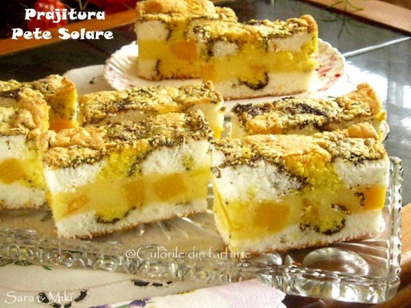 prajitura-pete-solare-3-1